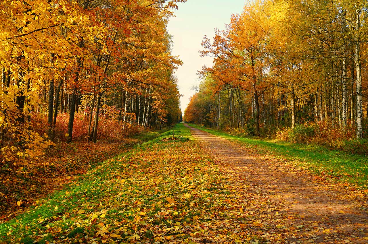 Apostille Services in Ontario, NY